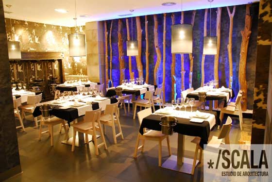 Bar Zura. Palmera 